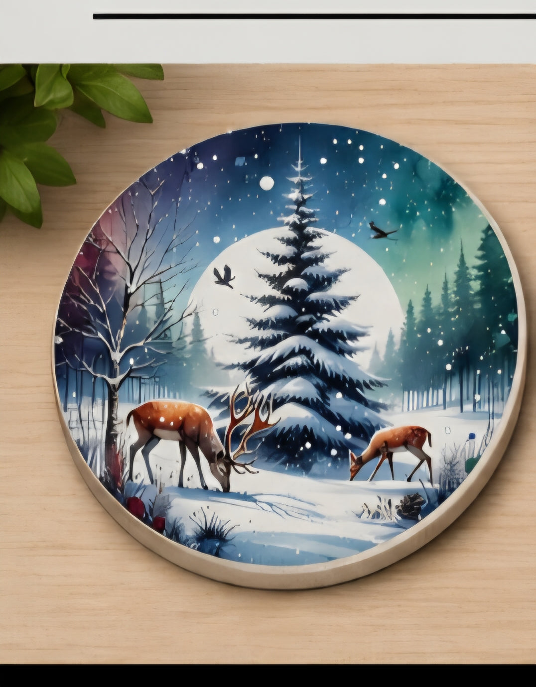Winter wonderland coaster
